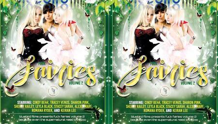Fuck the Fairies Volume 2