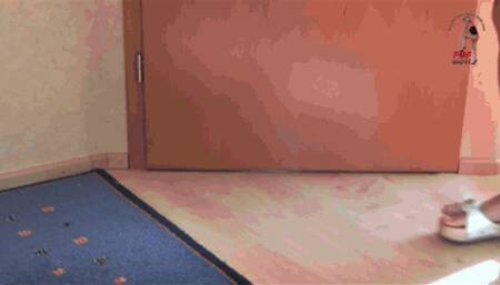 Toy stuff under wooden flats