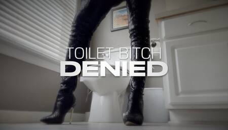 TOILET BITCH DENIED