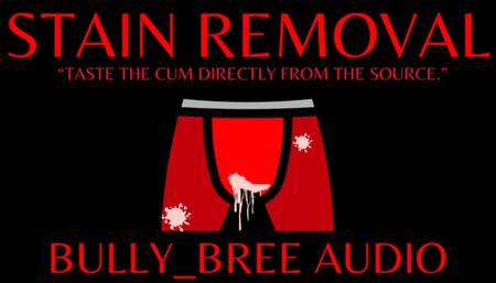 Stain Removal Audio