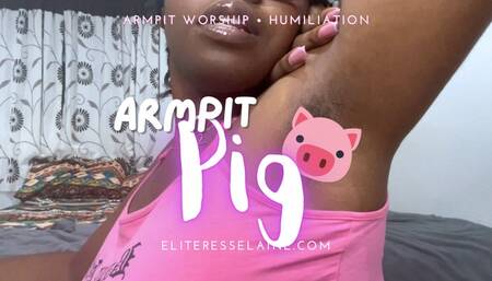 Armpit Pig