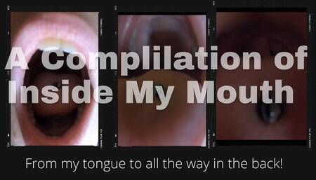 Vore POV Compilation