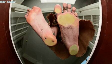 The Original HH glass crush!!! Pt 2 - MP4