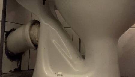 diarrhea, very thin chocolate almost like water, brown, chocolate dream