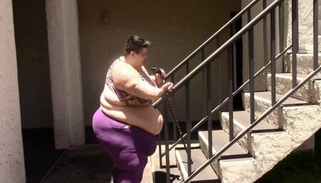 500 lb Vs 630 lb Stair Compare Compilation SD