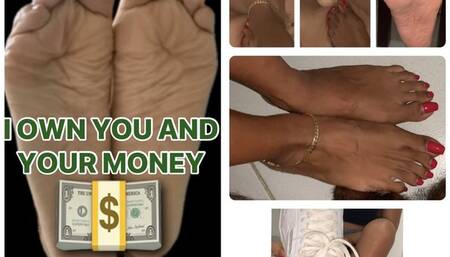 I Own You And Your Money