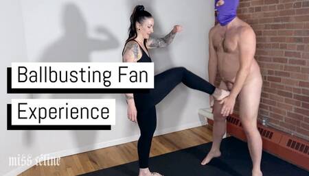 Ballbusting Fan Experience | Cocky Fan Gets Destroyed