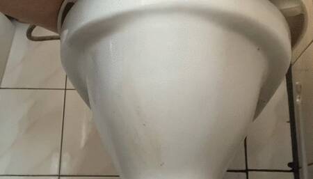 morning diarrhea and peeing