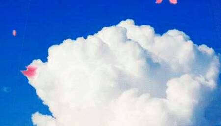 tGodess Drains You Mean Ruined JOI