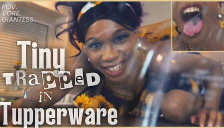 Tiny Trapped In Tupperware