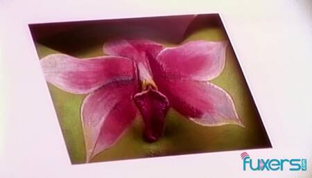 Good-looking mademoiselle's babe dirt