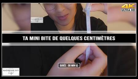 Ta mini bite de quelques centimètres 4K