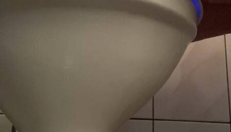 splash splash daily hard work in the toilet