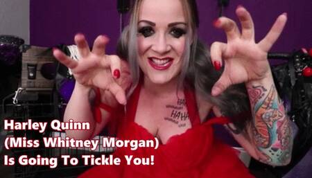 Harley Quinn Is Going To Tickle YOU - mp4