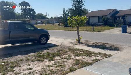 Magical Beach Toilet