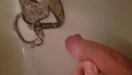 My Horny Cock Pees on My Best Female Friend's Dirty Panty