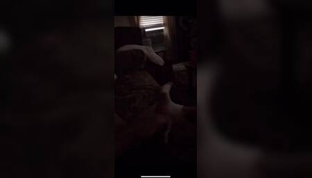 Stroking My Dick Should I Make More Videos?