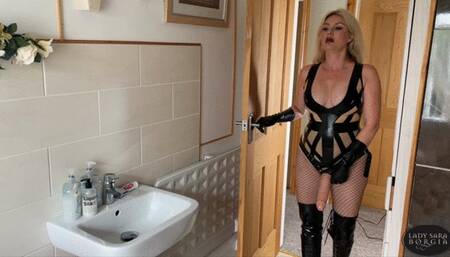 Latex Pegging and Swirlie Humiliation