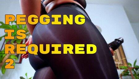 MP3:Pegging Is Required 2_1