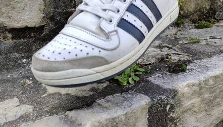 Grass and flowers crush in sneakers