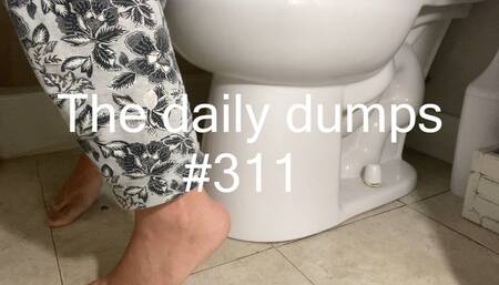 The daily dumps #311