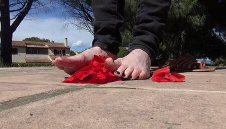 Red flowers trampling barefoot