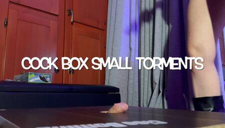 GEA DOMINA - COCK BOX SMALL TORMENTS
