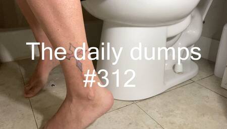 The daily dumps #312