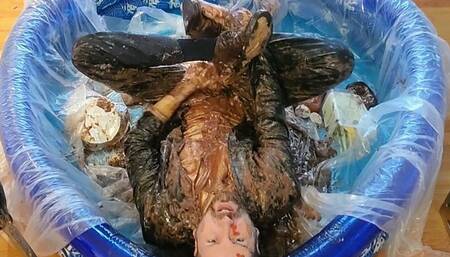 Massive Mess In A New Blue Suit (Part 2)