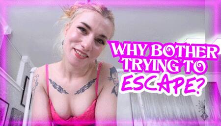 There Is No Escape - You Begged To Be Destroyed