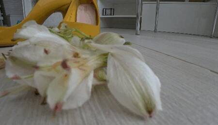 I crush flowers with yellow shoes a