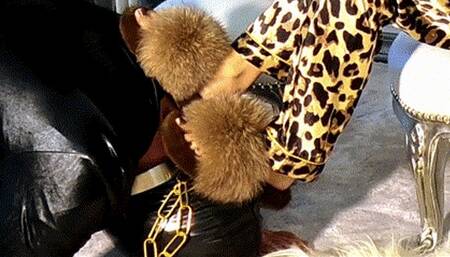 Worship My Slippers slave