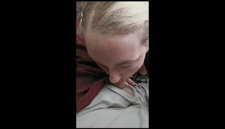 Sucking cock on the drive home