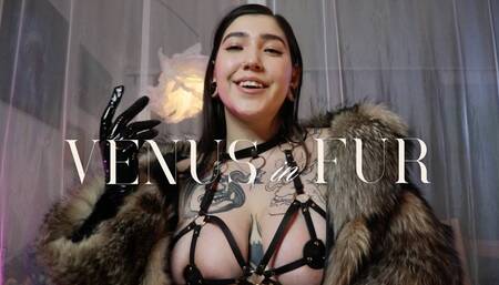 Venus in Fur by Devillish Goddess Ileana