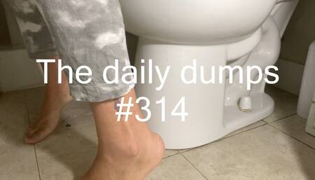 The daily dumps #314 mp4