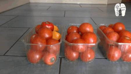 Tomatos crushed under Hunter Wellies