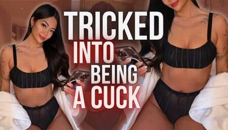 Tricked Into Being A Cuck
