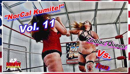NorCal Kumite! Vol 11 WMV