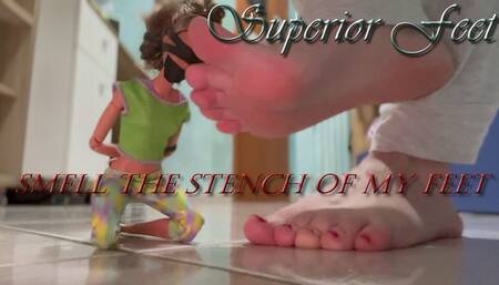 Smell the stench of My feet