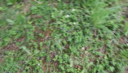 Donna's Buttcrack in the Park