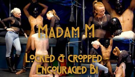 Locked & cropped, bisexual encouragement & humiliation with mouth wide open