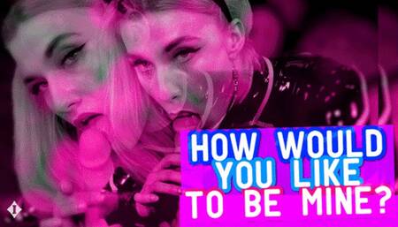 A Day In The Life Of A Pet