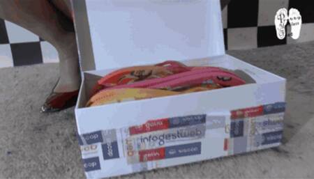 Flip Flop destruction