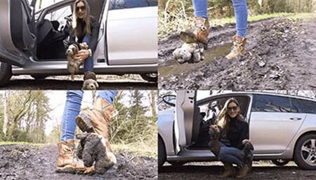 Your beloved plushies crushed under my boots and tires (small version)