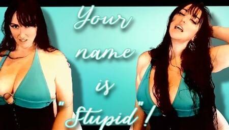 Your name is "Stupid"