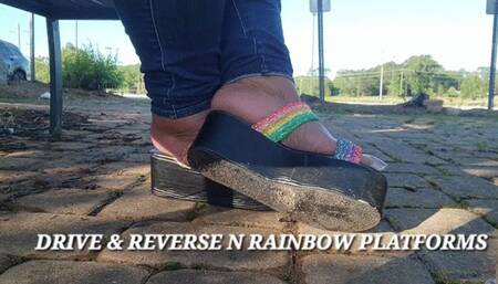 DRIVE & REVERSE N RAINBOW PLATFORMS