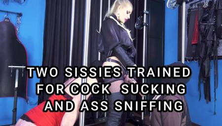 TWO SISSIES TRAINED FOR COCK SUCKING AND ASS SNIFFING