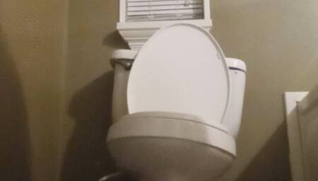 Dump in Master Piece dress