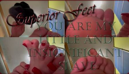 You are My little and insignificant slave