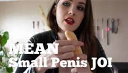 Mean Small Penis JOI